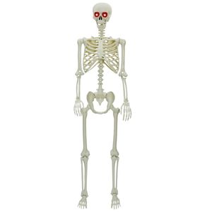 vidaXL Scheletro di Halloween Bianco 155 x 38.5 cm Plastica