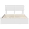 vidaXL Letto con Contenitore Bianco 160 x 200 cm Legno multistrato