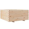 vidaXL Fioriera da Giardino 100x100x49,5 cm in Legno Massello di Pino