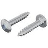 vidaXL Chiodo autofilettante 2 pz Zincato 4 x 20 mm Acciaio
