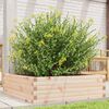 vidaXL Fioriera da Giardino 80x80x23 cm in Legno Massello di Pino