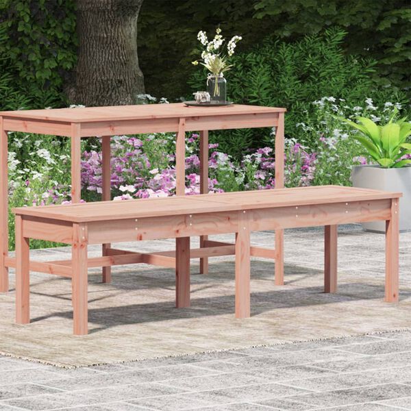 vidaXL Panca da Giardino 2 Posti 159,5x44x45 cm Legno Massello Douglas