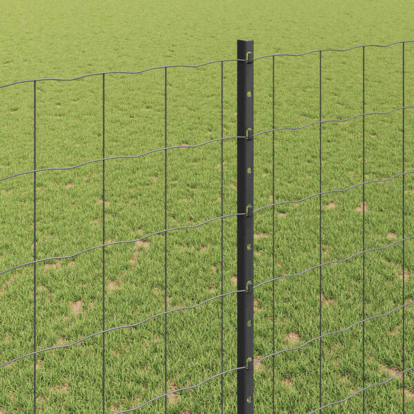 Visualizzazione immagine prodotto 4 di 14