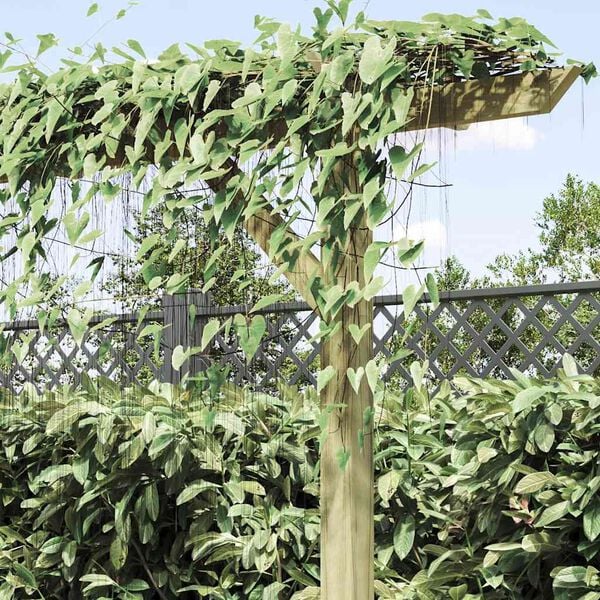 Visualizzazione immagine prodotto 4 di 11