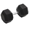 vidaXL Manubrio 30 kg Ghisa