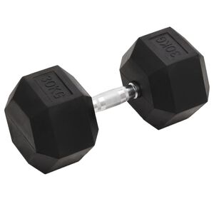 vidaXL Manubrio 30 kg Ghisa