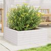 vidaXL Fioriera da Giardino Bianca 60x60x23 cm Legno Massello di Pino