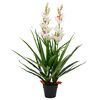 vidaXL Orchidea Cymbidium Artificiale con Vaso 100 cm Verde