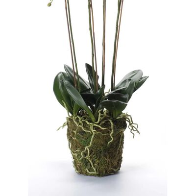 Emerald Orchidea Artificiale con Muschio Bianca 90 cm 20.355