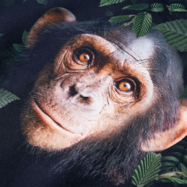 Visualizzazione immagine prodotto 4 di 7