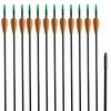 vidaXL Frecce Standard per Archi Ricurvi 12 pz 76,2/0,6 cm Fibra Vetro