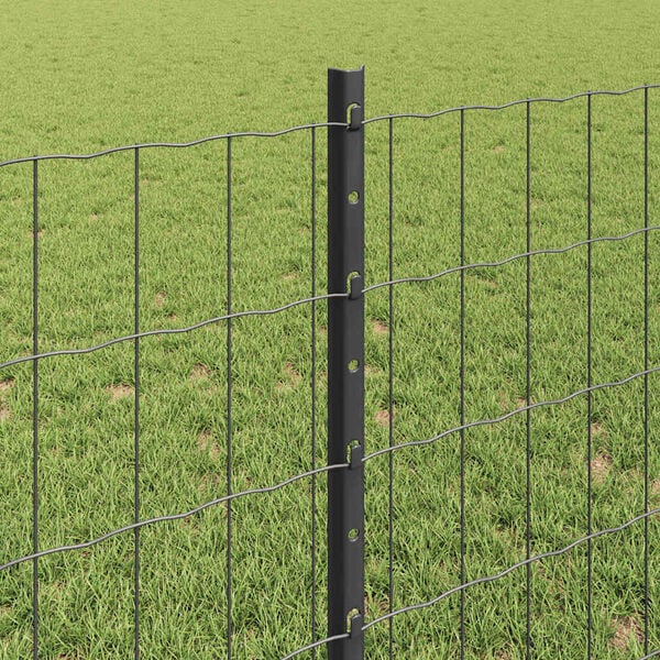 Visualizzazione immagine prodotto 4 di 13