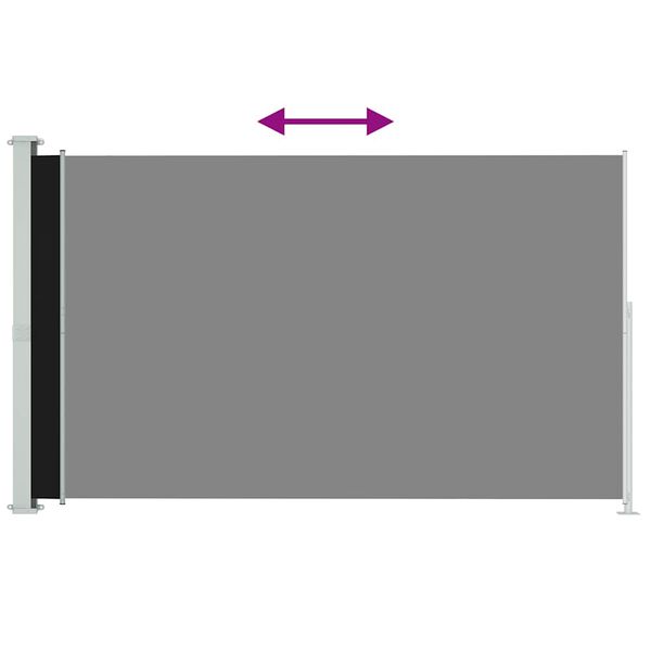 vidaXL Tenda Laterale Retrattile per Patio 220x300 cm Nera