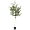 vidaXL Albero Ulivo Artificiale 700 Foglie 165 cm Verde