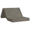 vidaXL Divano Letto Pieghevole 80 x 67 x 45 cm Grigio Chiaro