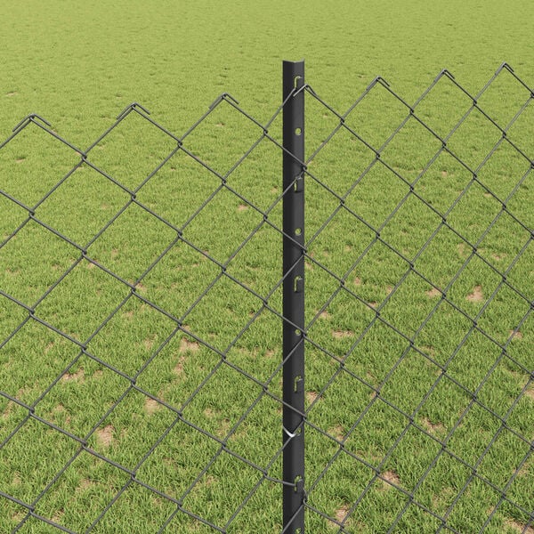 Visualizzazione immagine prodotto 4 di 6