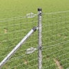 Immagine miniatura del prodotto 4 di 11