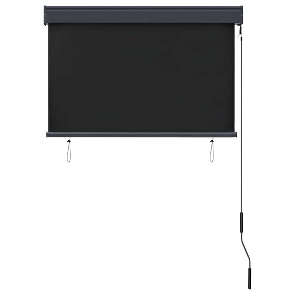 vidaXL Tenda a Rullo per Esterni 100x250 cm Antracite