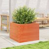 Immagine miniatura del prodotto 3 di 10