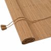 vidaXL Tenda a rullo Marrone 50 x 160 cm Bamb&ugrave;