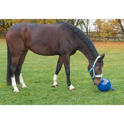 Kerbl Palla da Gioco per Cavalli Blu 25 cm 32399