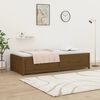 vidaXL Dormeuse Ambra 80x200 cm in Legno Massello di Pino