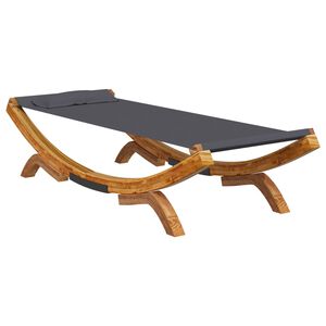 vidaXL Lettino Prendisole 100x188,5x44 cm in Legno Curvato Antracite