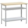 vidaXL Piano di lavoro Grigio e Beige 100 x 55 x 85 cm Acciaio