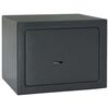 vidaXL Cassaforte con blocco Grigio 17 x 23 x 17 cm Acciaio