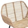 vidaXL Sedia da pranzo 2 pcs Naturale 55 x 50 x 74 cm Rattan e Ferro