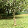 Immagine miniatura del prodotto 2 di 7