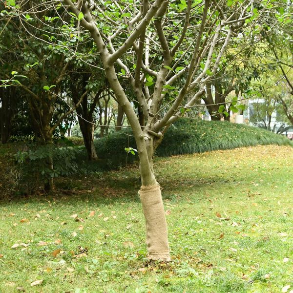 Visualizzazione immagine prodotto 2 di 7