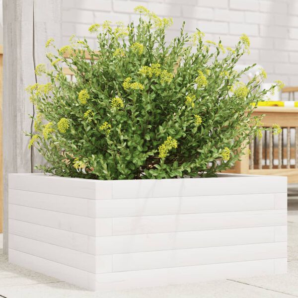 vidaXL Fioriera da Giardino Bianca 50x50x23 cm Legno Massello di Pino