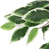 Immagine miniatura del prodotto 3 di 5