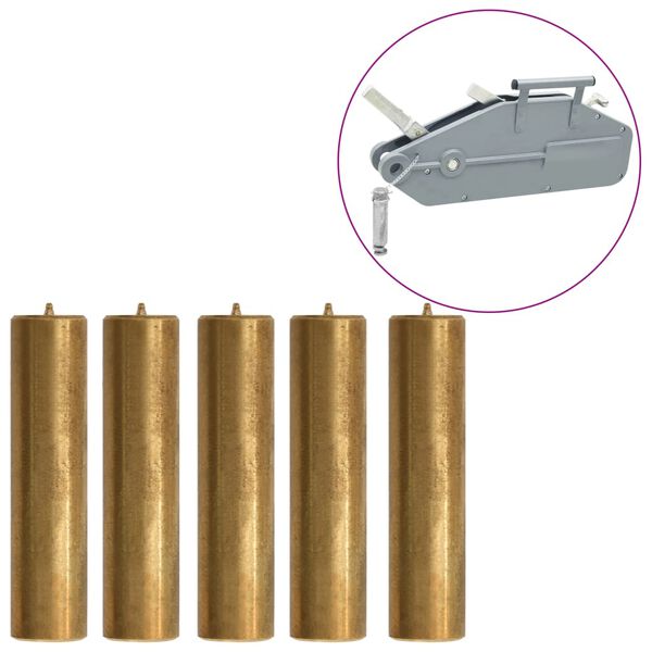 vidaXL Perni di Sicurezza per Paranco a Fune da 1600/3200 kg 5 pz Ottone