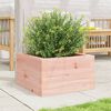 vidaXL Fioriera da Giardino 40x40x23 cm in Legno Massello di Douglas