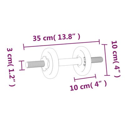 vidaXL Set Bilanciere e Manubri con Dischi 60 kg in Ghisa