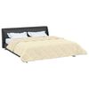 vidaXL Duvet Estivo Crema 200 x 220 cm Microfibra e Fleece Teddy