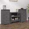 vidaXL Credenze 2 pz Grigie 40x35x80 cm in Legno Massello di Pino