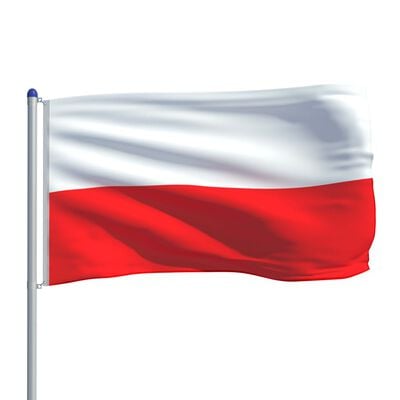 vidaXL Bandiera della Polonia con Pennone in Alluminio 6 m