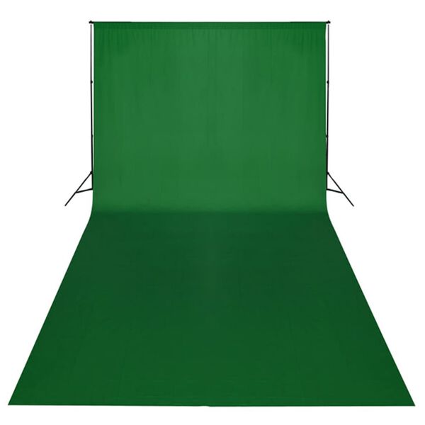 vidaXL Set Studio Fotografico Fondale Verde 600x300 cm e Luci