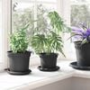 vidaXL Vaso Rotondo per Fiori 6 pcs Nero &Oslash; 12,5 x 10 cm Plastica