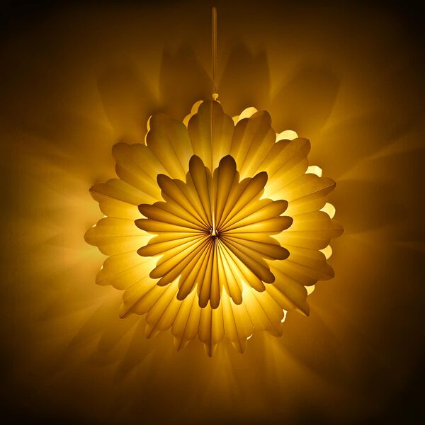 Visualizzazione immagine prodotto 4 di 7