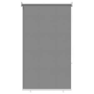 vidaXL Tenda da sole a rullo con protezione UV Grigio Chiaro