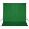 vidaXL Sistema Portafondali con Fondale Verde 600 x 300 cm
