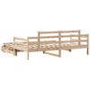 vidaXL Divano Letto Estraibile con Cassetti senza Materasso 80x200 cm