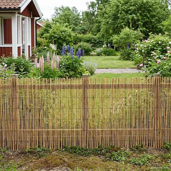 Visualizzazione immagine prodotto 2 di 7