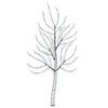 vidaXL Albero di Natale da parete a LED 150 cm 140 LED Bianco freddo