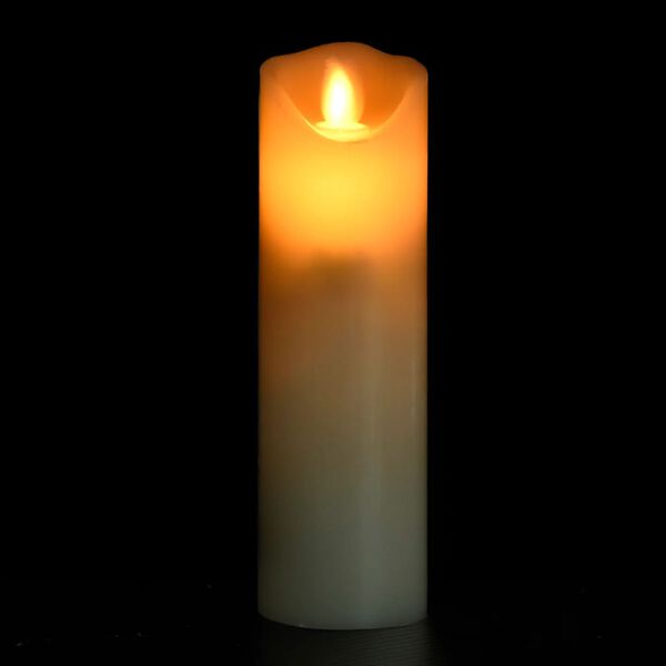 vidaXL Set Candele Elettriche a LED 5 pz con Telecomando Bianco Caldo