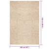 vidaXL Tappeto ZIZUR Beige 160x230 cm Aspetto Iuta Interni ed Esterni